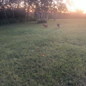 Meet your Posher, Kelli